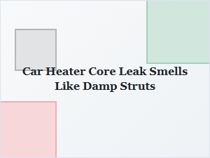 Identifying Car Heater Core Leaks Through Odor Detection