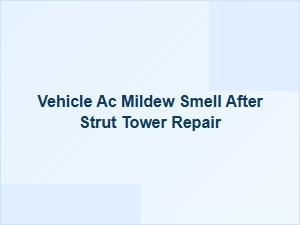 Eliminating Mildew Smell After Strut Tower Repairs