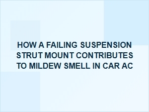 A Leaking Strut Mount Can Cause Ac Mildew