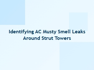 Locating Leaks Near Strut Towers to Prevent Ac Odors