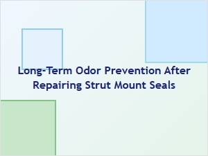 A Guide to Long-Term Odor Prevention After Strut Seal Repair
